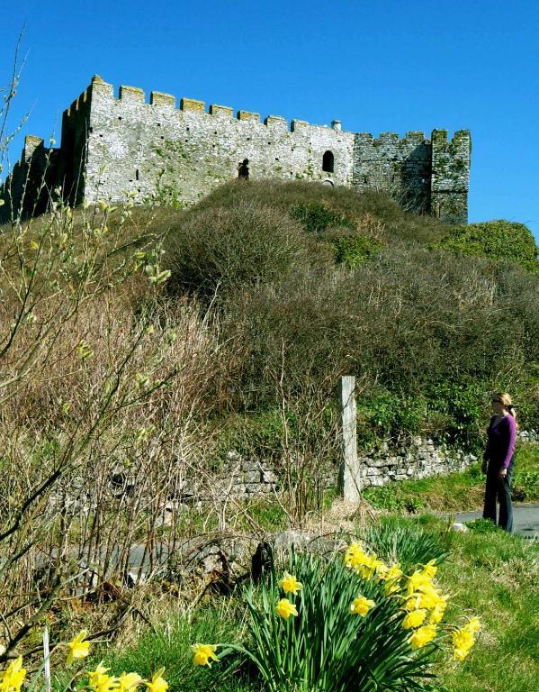 Castlemead Country House By The Sea แมเนอร์เบียร์ ภายนอก รูปภาพ